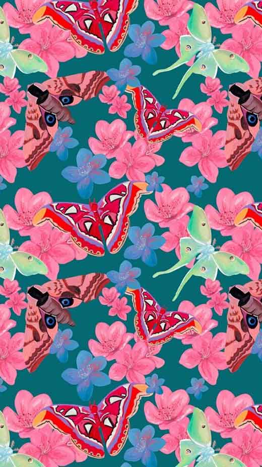 butterfly and flowers spring wallpaper