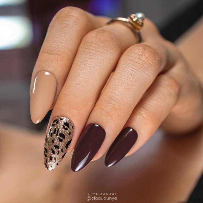 long oval Animal print, beige, and chocolate nails