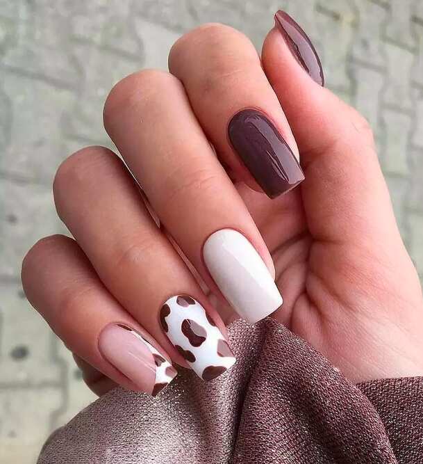long square nails brown and white Cow print