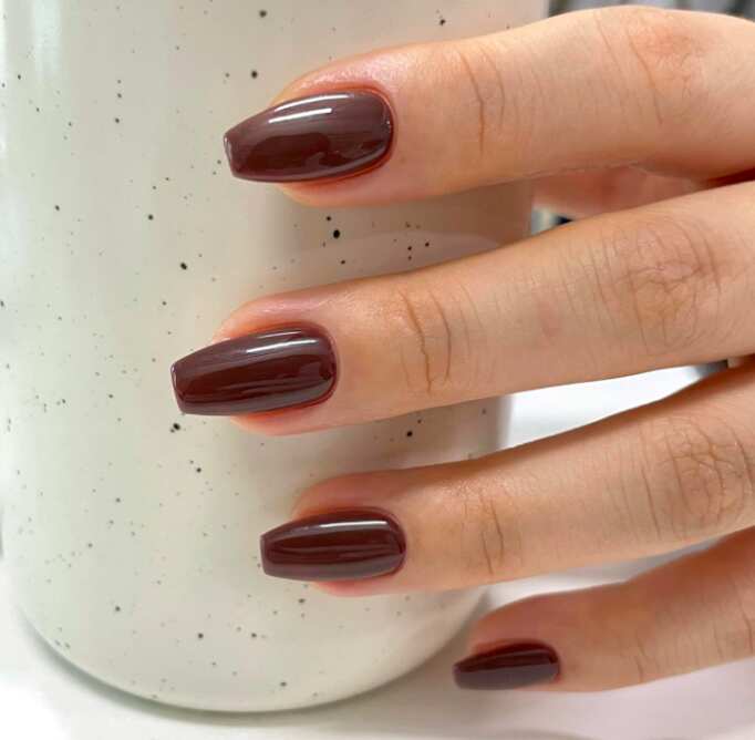 solid dark brown long nails