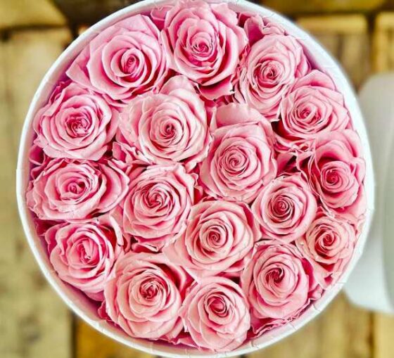 Checkers Roses Price The Best Roses Bouquets Online Stores To Deliver Love Everywhere - The ...