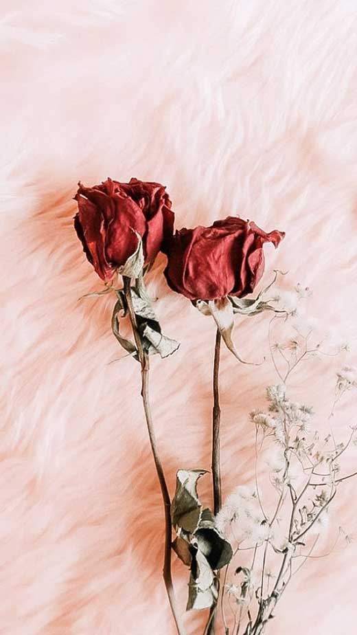 45 Heart  Valentines Day Aesthetic Wallpapers for a Romantic iPhone  Background  The Mood Guide