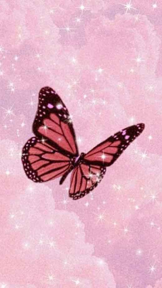 31 Pink Butterfly Wallpapers  Wallpaperboat