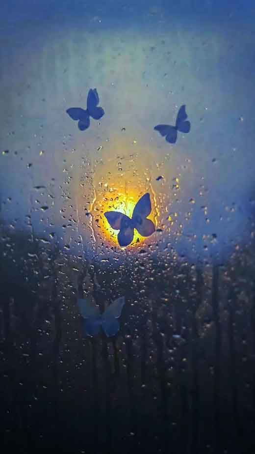 blue aesthetic butterfly wallpaper iphone