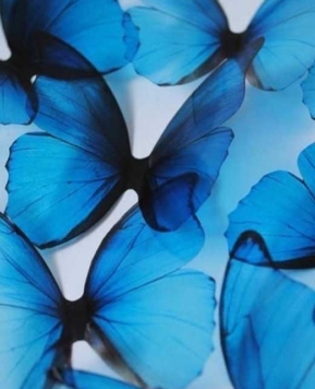 40 + Whimsical Butterfly Wallpapers for iPhone