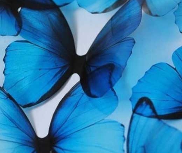 40 + Whimsical Butterfly Wallpapers for iPhone