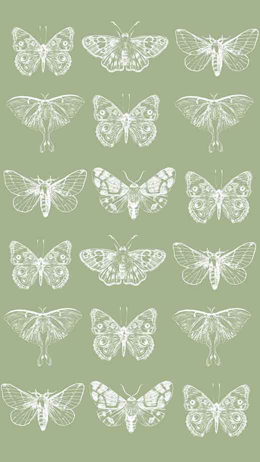 Download Green Butterfly Green Background Vertical Wallpaper  Wallpapers com