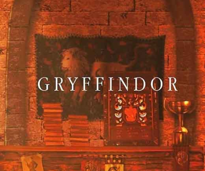 Aesthetic Gryffindor Wallpapers for iPhone