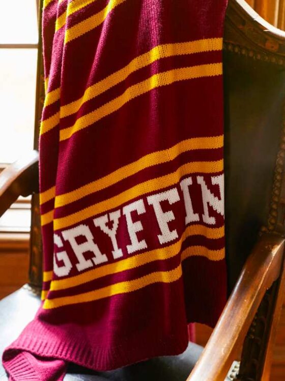 The Best Gryffindor Gifts For The Brave & The Loyal