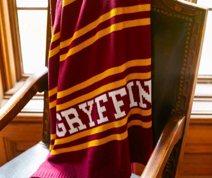 The Best Gryffindor Gifts For The Brave & The Loyal