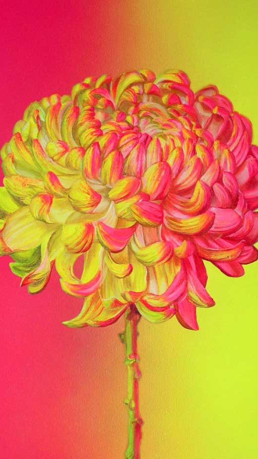 neon pink yellow wallpaper iphone