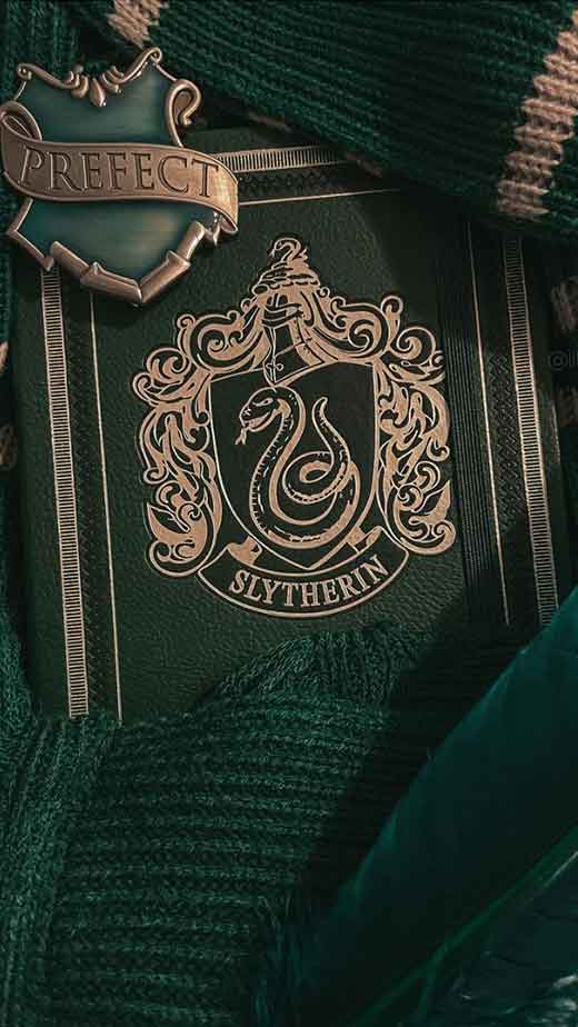 Download Get Ready for a Magical Slytherin Experience with the Latest Phone  Wallpaper  Wallpaperscom