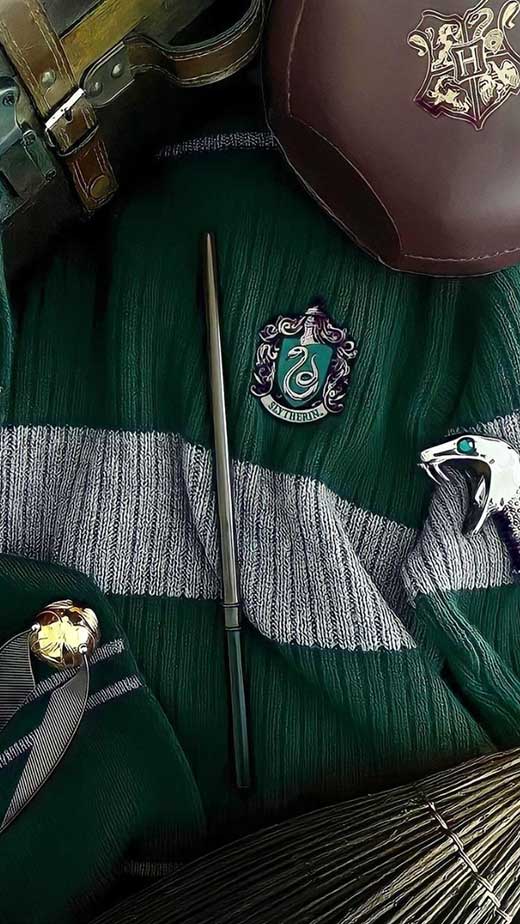 Download Slytherin Aesthetic House Slytherin Emblem Wallpaper  Wallpapers com