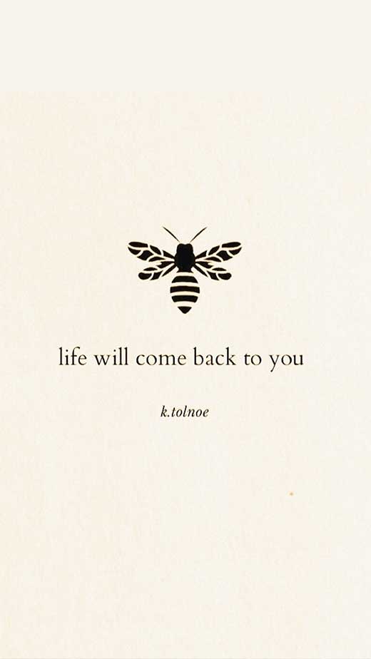 bee-aesthetic-wallpaper-with-quote