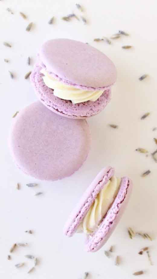 lavender aesthetic macaron light purple wallpaper