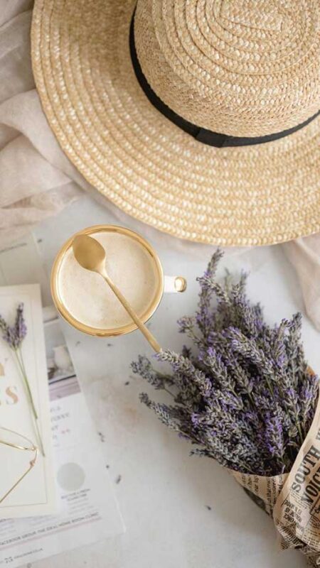 Light Purple Wallpapers for iPhone + Lavender Backgrounds (plant & color)