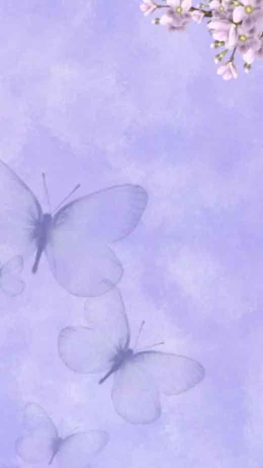 Light Purple Wallpaper  NawPic