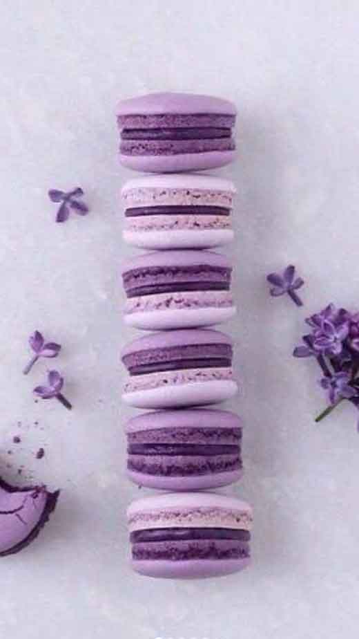 macaron aesthetic wallpaper iphone