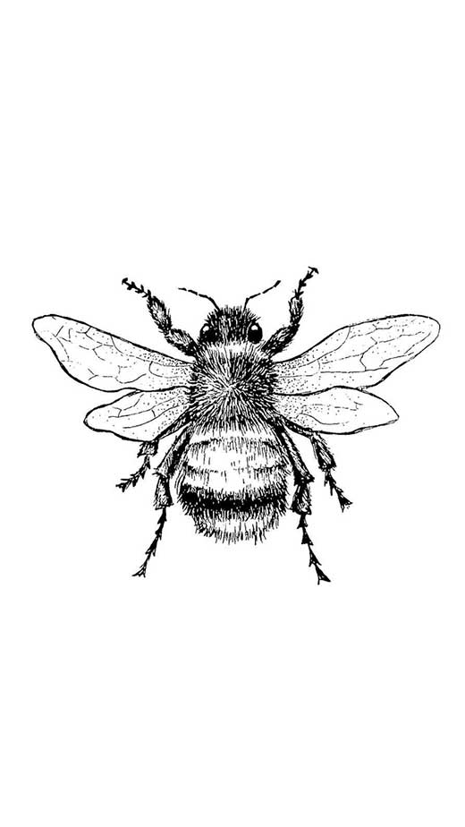 minimal wallpaper bee