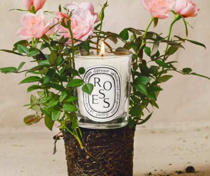 The Most Aesthetic Rose Gifts (For Mother, Wife, Grandma, and Yourself)