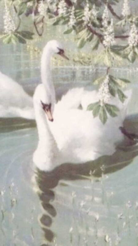 Coquette Wallpaper & Background Ideas for iPhone - The Mood Guide