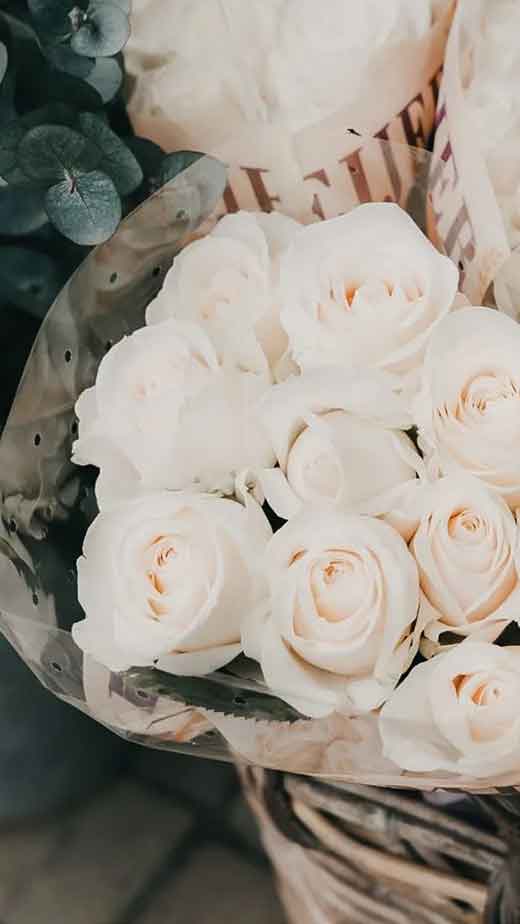 aesthetic-chic-minimalist-white-roses-wallpaper-iphone