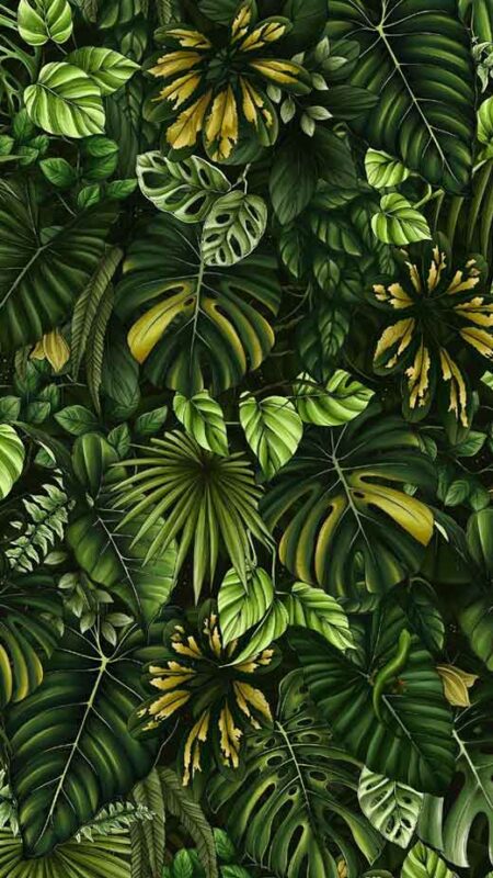 Soothing & Beautiful Green Aesthetic Wallpapers for iPhone