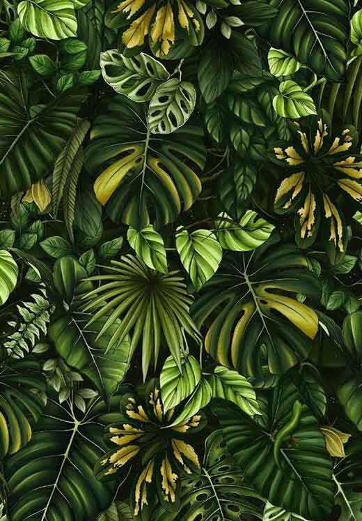 Soothing & Beautiful Green Aesthetic Wallpapers for iPhone