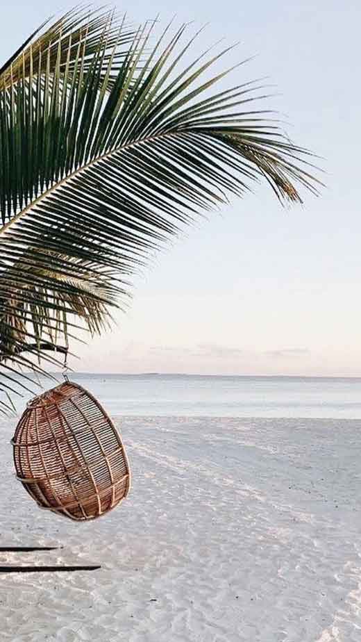 minimalist scenery of the beach and the sea