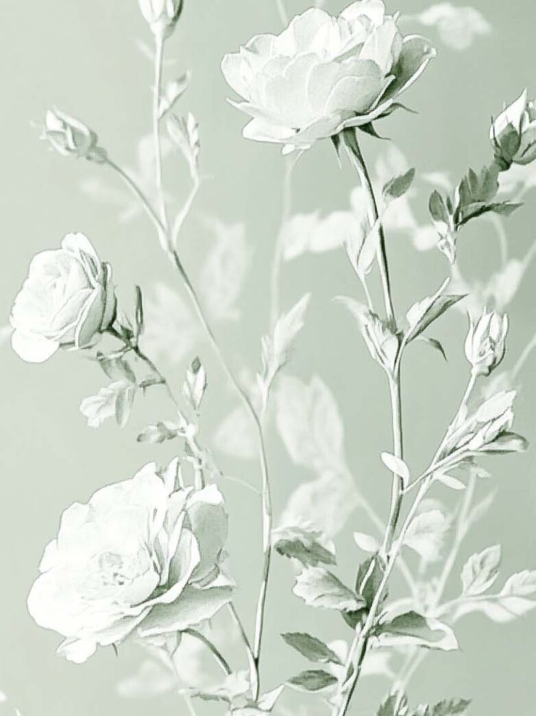 Simple Sage Green Aesthetic Wallpapers for iPhone (Free & HD) - The