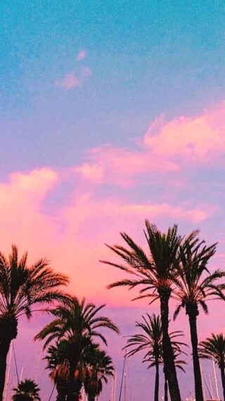 Amazing Aesthetic Summer Photo Ideas Artwork for Your Screen Amazing Aesthetic Summer Photo Ideas Artwork for Your Screen