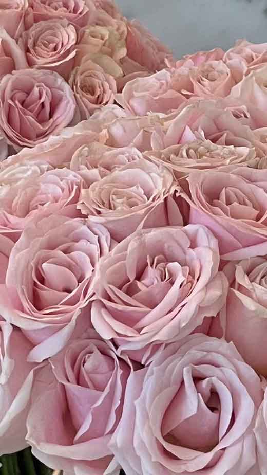 pretty-pink-roses-background