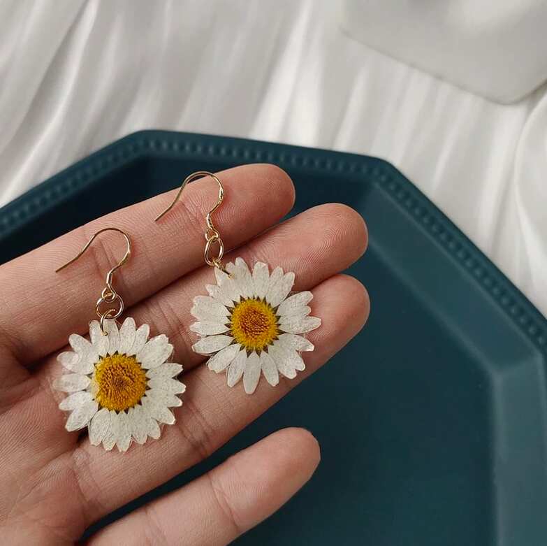 Resin Dry Natural Daisies Earring