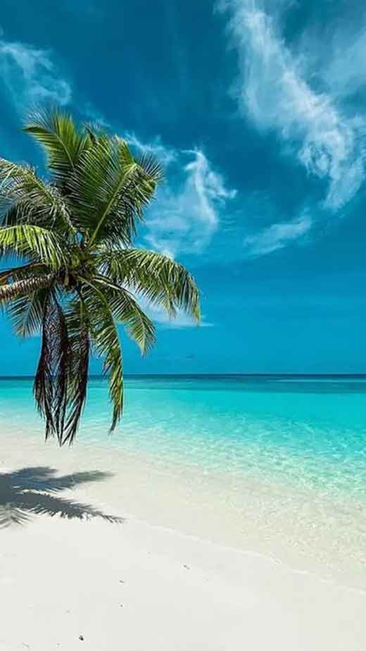 tropical-beach-maldives-wallpaper-iphone