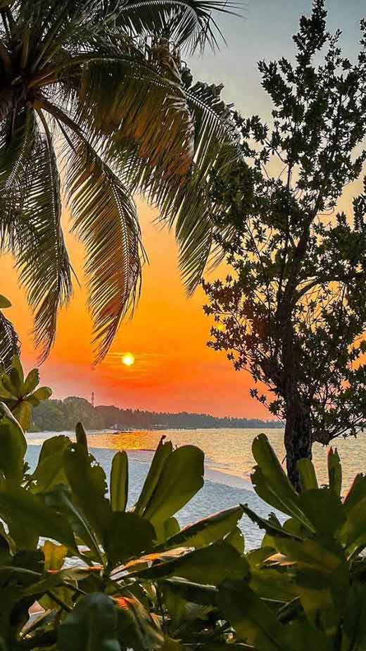 tropical-beach-sunrise-background