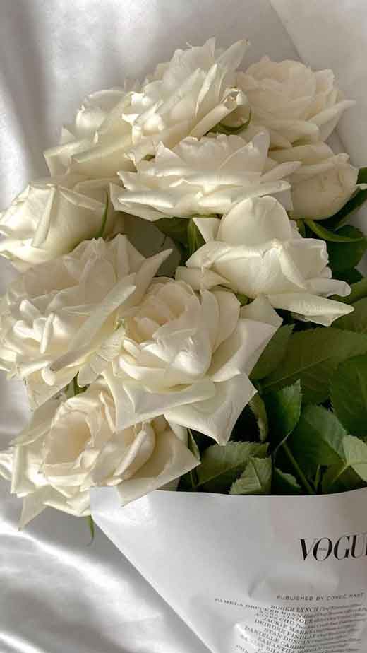 white-roses-aesthetic-wallpaper-iphone