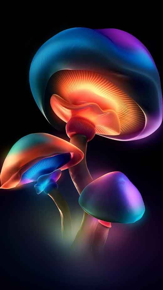 Download Vibrant Psychedelic iPhone Wallpaper Wallpaper  Wallpaperscom