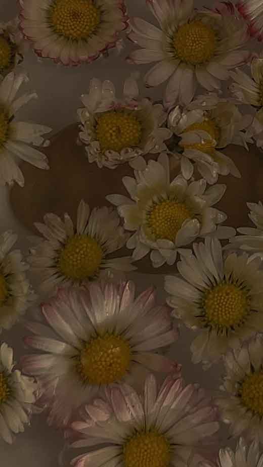 Free download Small Daisy Purple Mobile Phone Wallpaper Background Cute  flower 960x1920 for your Desktop Mobile  Tablet  Explore 23 Small Aesthetic  Wallpapers  Small Babies Wallpapers Small Print Yellow Wallpaper