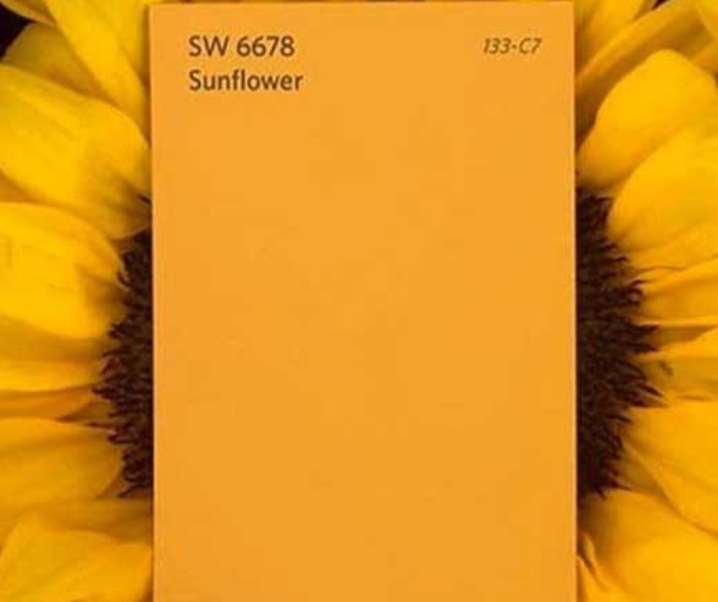 Yellow Wallpapers to Cheer up Your iPhone Background