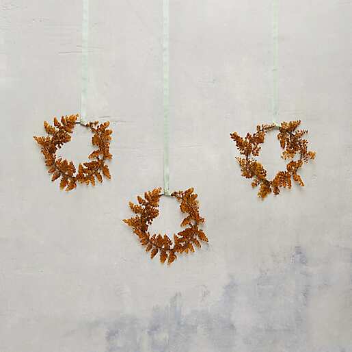 Preserved Fern Set of 3 Wreaths | 7"