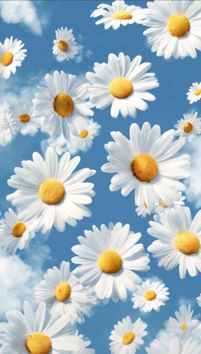 blue and white daisy phone wallpaper
