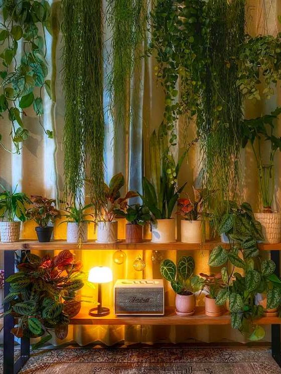 Plant Aesthetics: All The Greenery Inspiration You Need To Live In An Urban Jungle