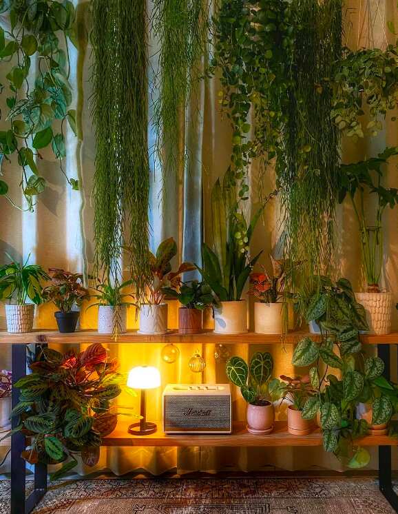 Plant Aesthetics: All The Greenery Inspiration You Need To Live In An Urban Jungle
