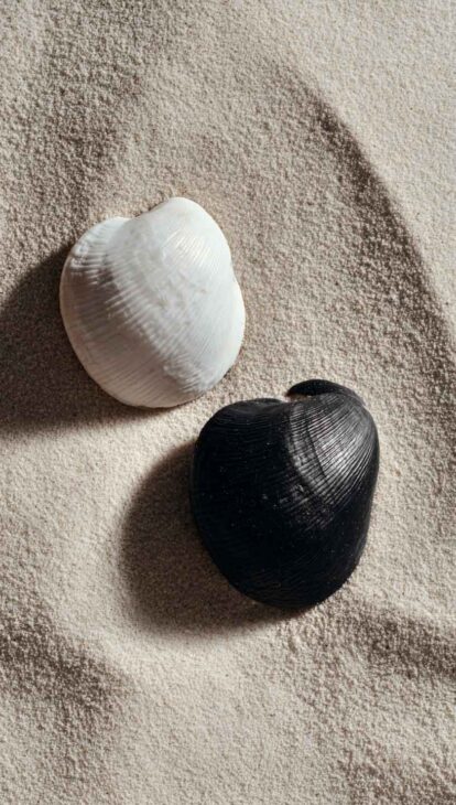 aesthetic-summer wallpaper