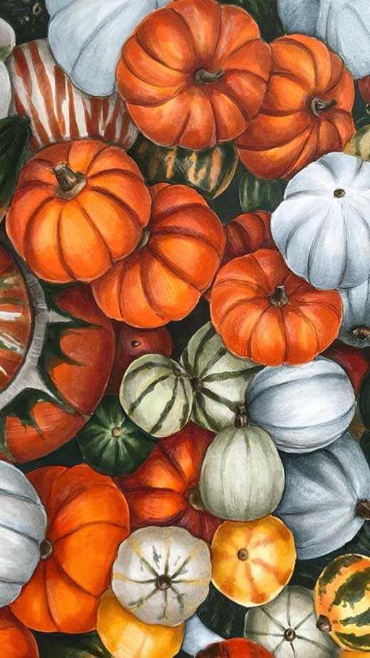 pretty pumpkin pattern wallpaper