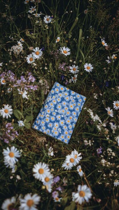 lockscreen aesthetic daisy wallpaper