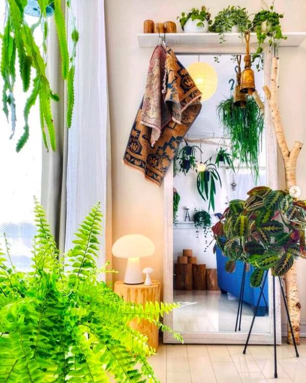 10 Urban Jungle Living Room Designs That Feel Alive in 2026