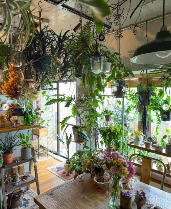 Plant Aesthetics: All The Greenery Inspiration You Need To Live In An ...