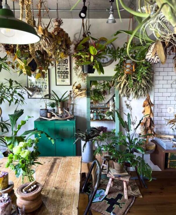 Plant Aesthetics: All The Greenery Inspiration You Need To Live In An ...