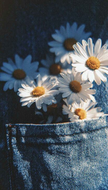 daisy aesthetics